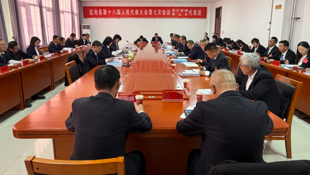 聚焦两会 | 县领导参加人大代表分团审议政府工作报告